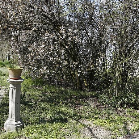 Hotel Luna San Felice sul Panaro Exteriör bild